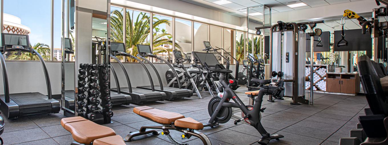 BLUSH FITNESS A Comfortable Fitness Environment