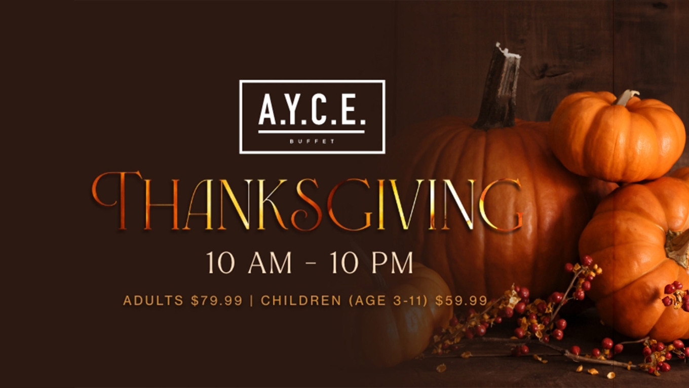 A.Y.C.E. Thanksgiving